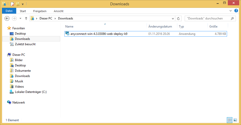 Explorer-Ansicht Downloads