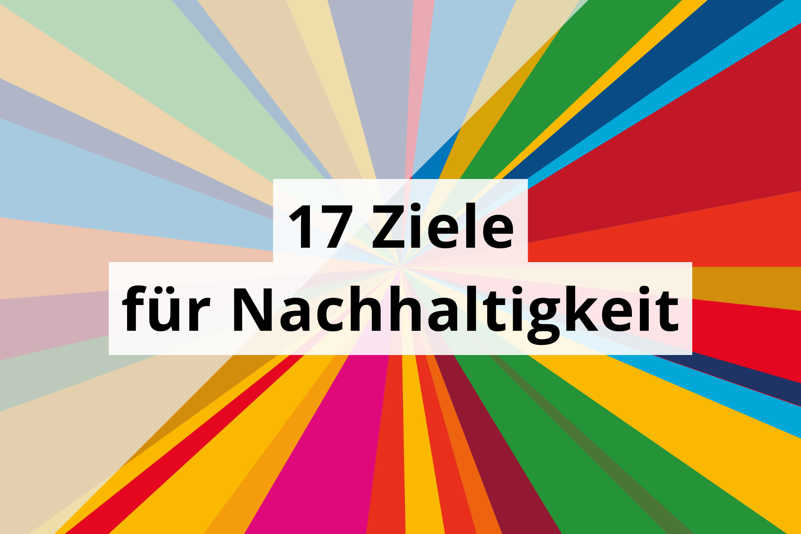 17 Ziele für Nachhaltigkeit