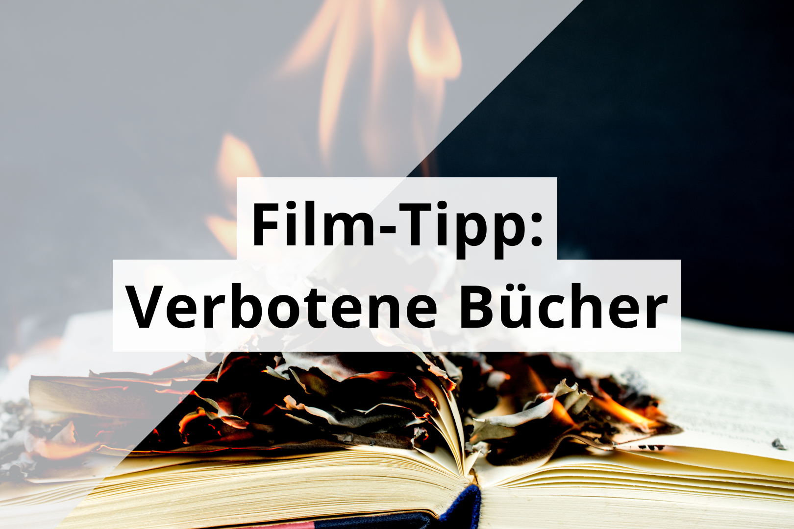 Film-Tipp "Verbotene Bücher"