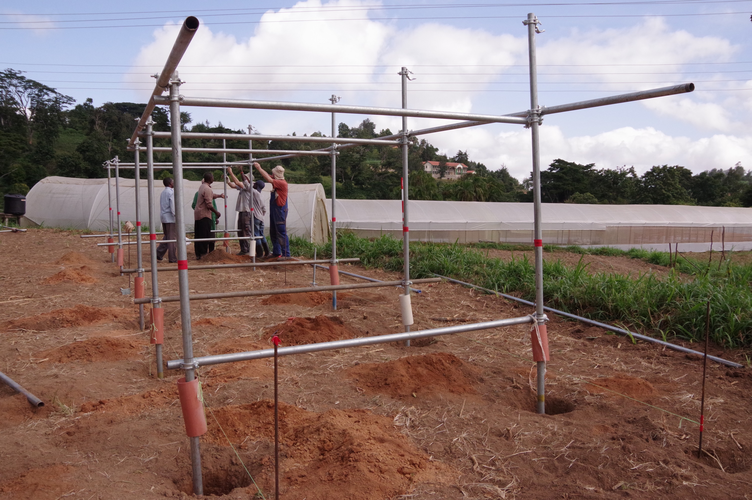 Aufbau Agro-PV Anlage in Ngerenyi, Kenia