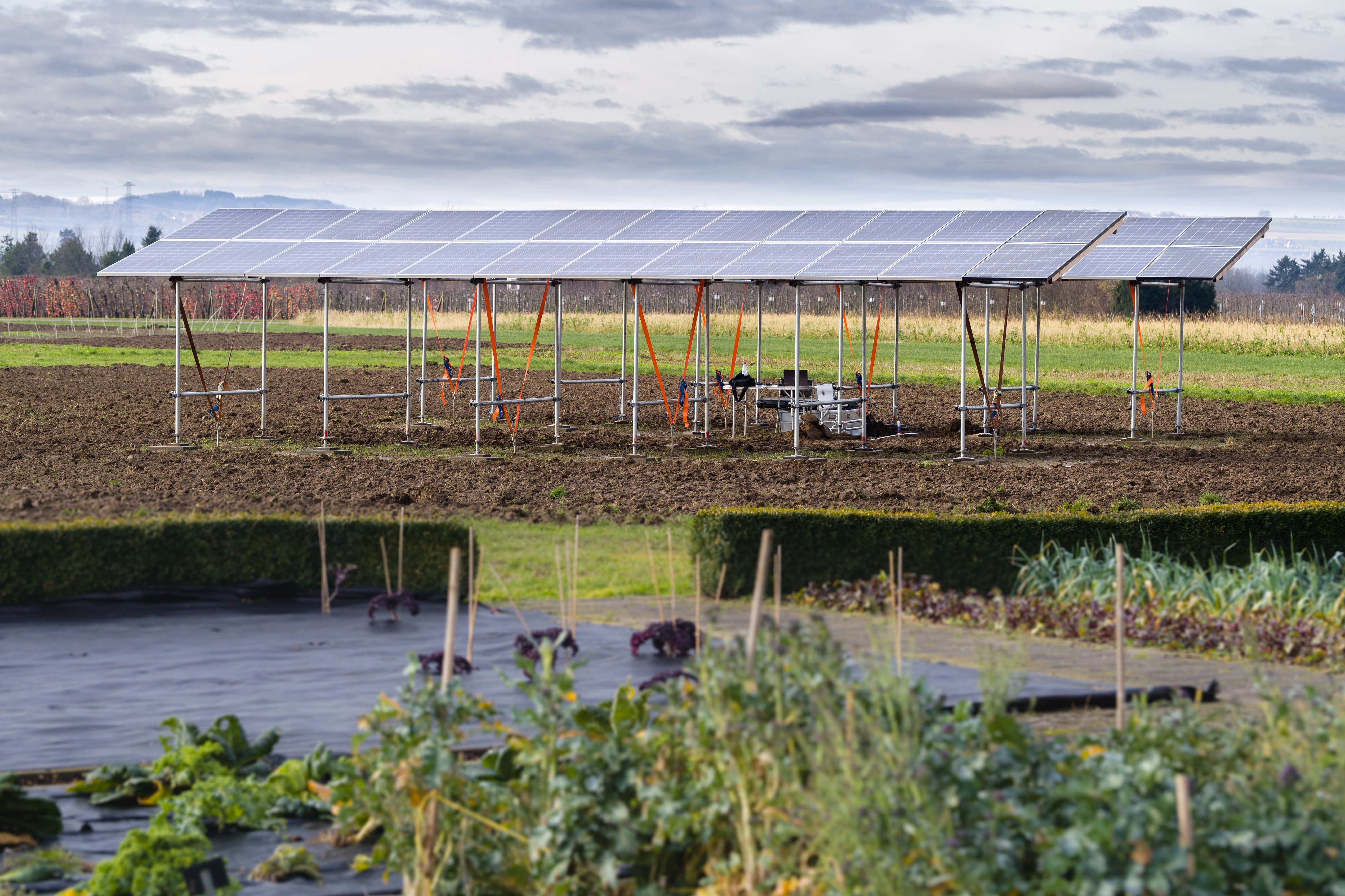 PV-Modules on farm land