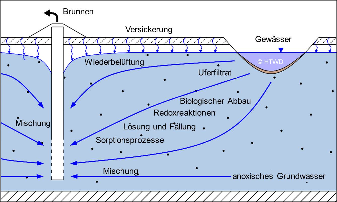 Schema Prinzip Uferfiltration