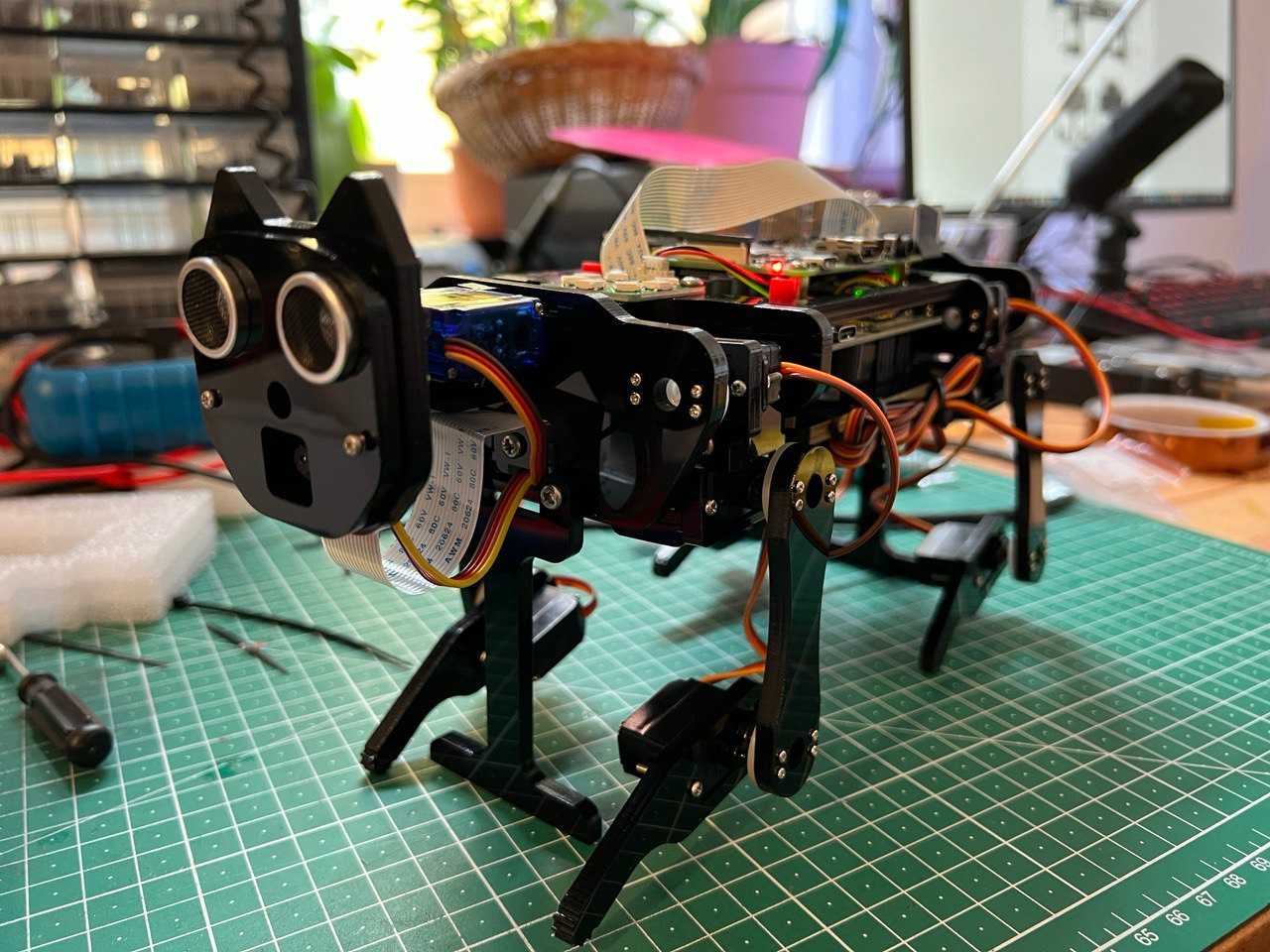 Robot Dog