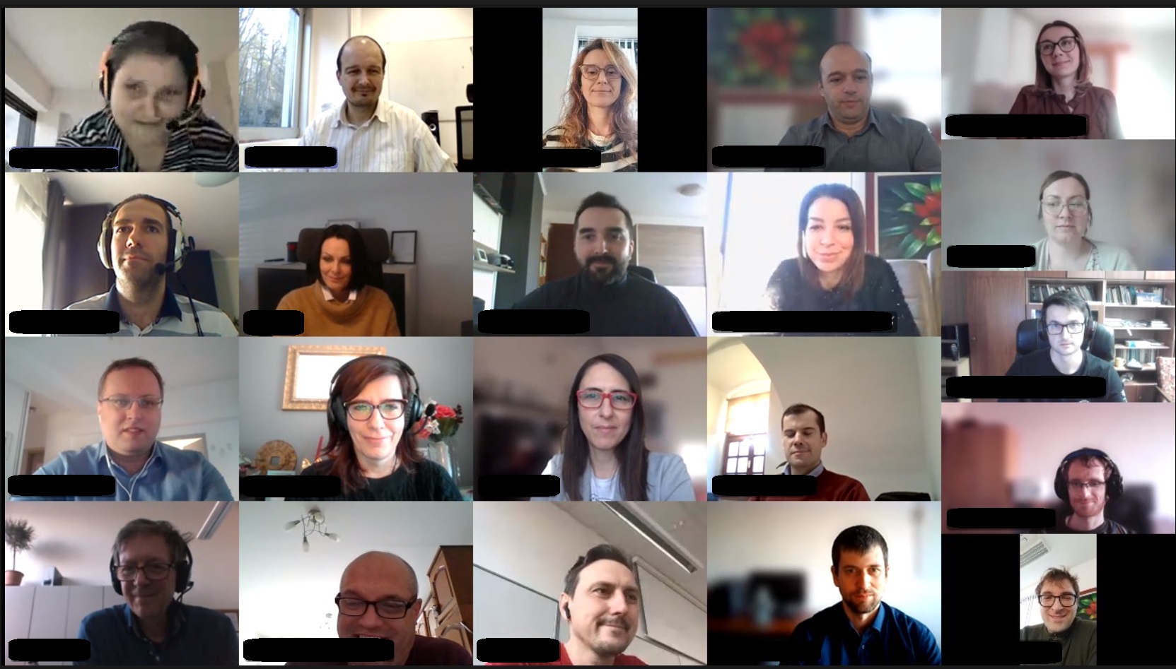 Screenshot der Videokonferenz mit mehreren Personen