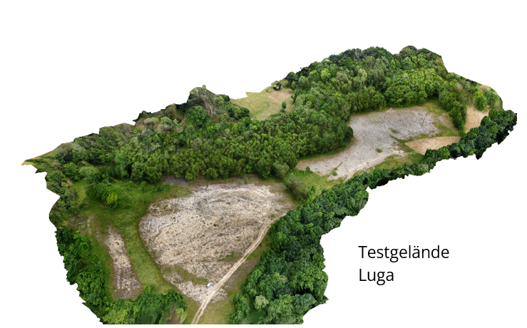 Reallabor in der Lehmgrube Luga