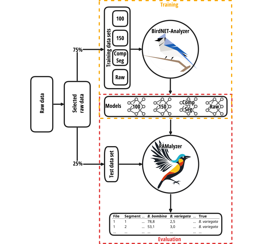 The AnuraPAM collection comprises four different models. They were trained with BirdNET-Analyzer and evaluated using PAMalyzer on independent training and test data sets. After an initial selection the data was split. 75% of the data was used for training while the rest was used for evaluation.