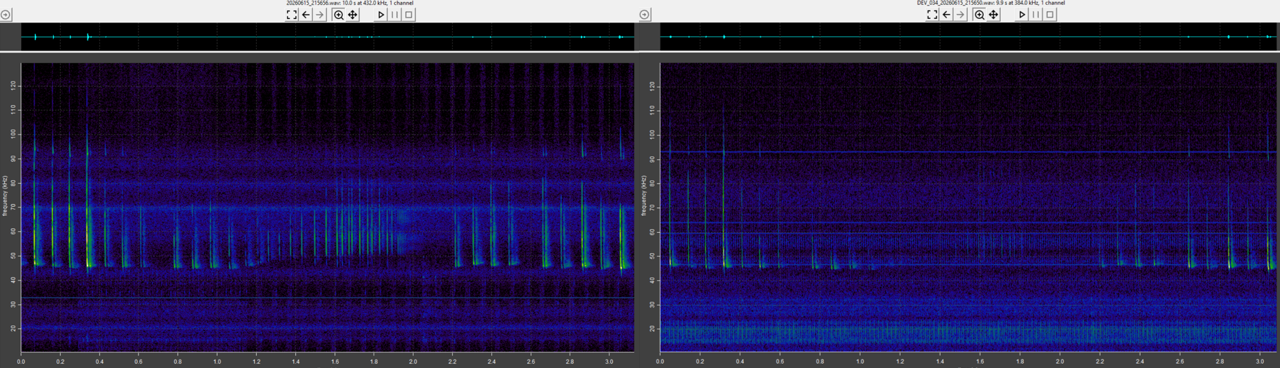 BatGizmo_pippyg_spectrogram_comparison