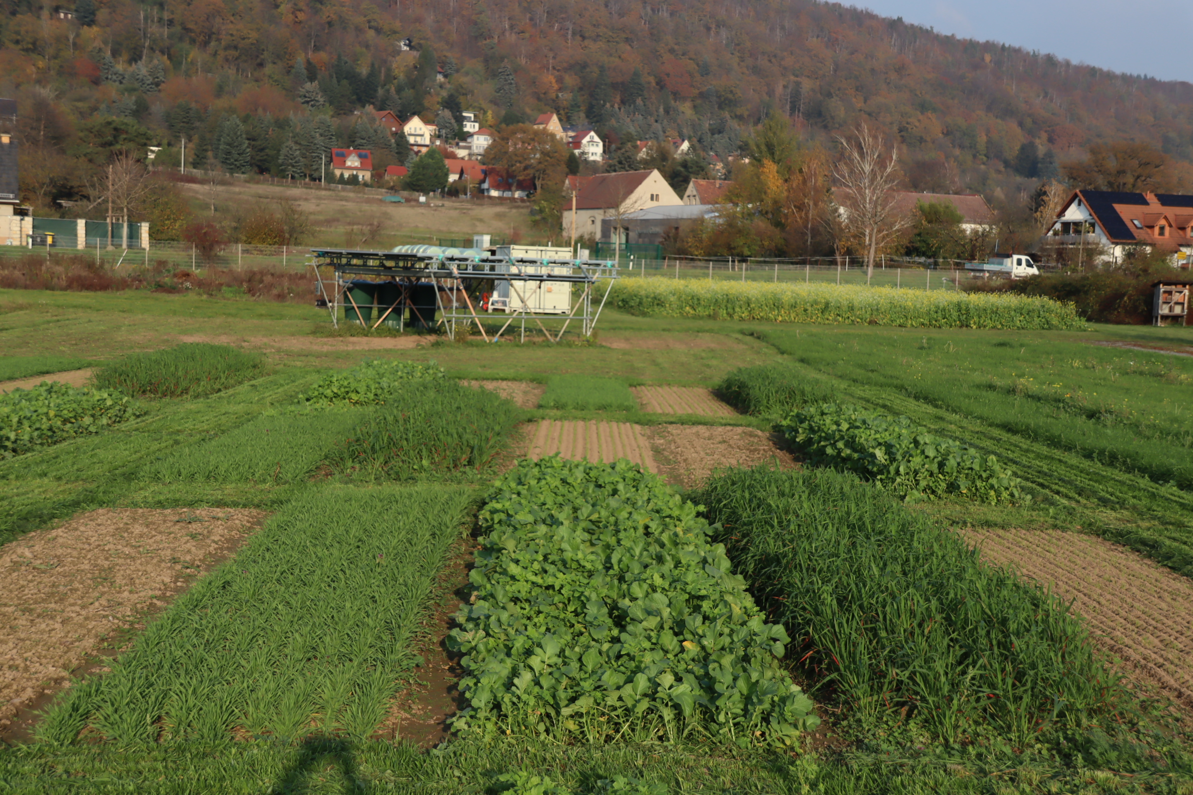 Feldversuch mit Düngung von Gärresten