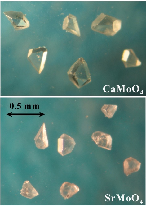Kristalle von Calcium- und Stromtiummolybdat