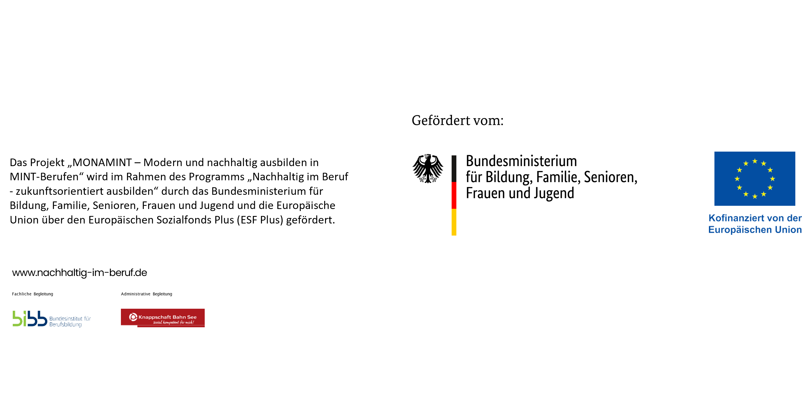 Förderhinweise des Projektes MONAMINT