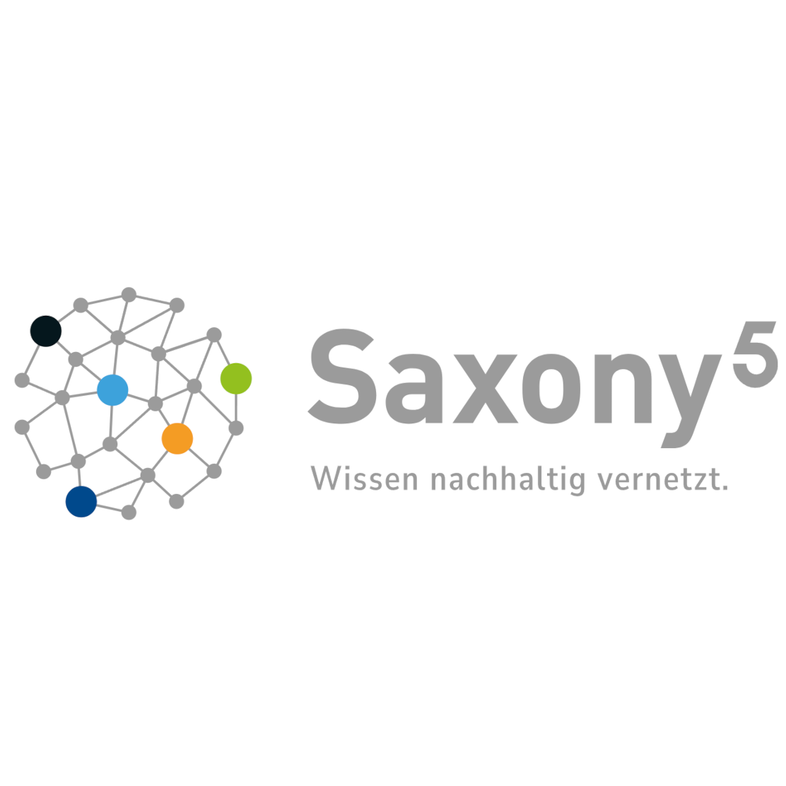 Logo Saxony5