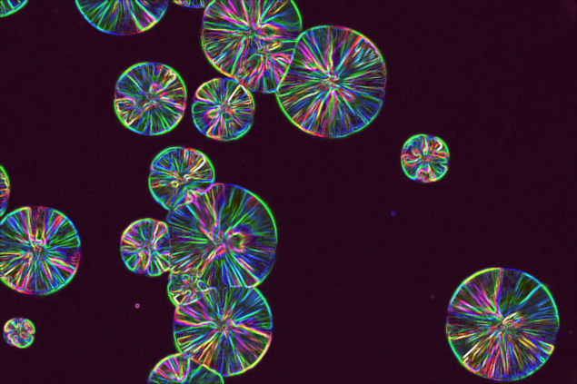 Kopfbild eMatInnoHub