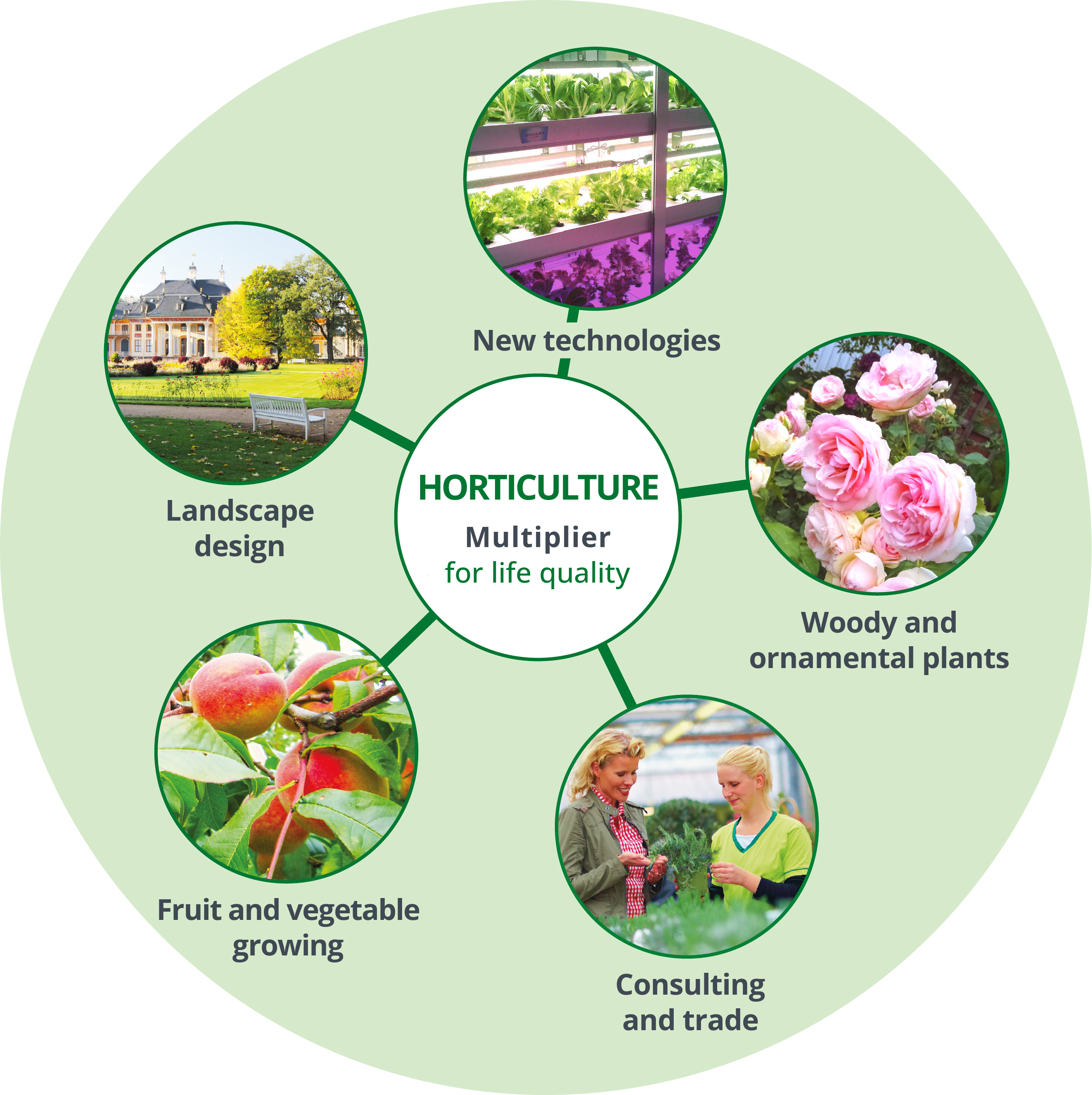 Horticulture - Multiplier for life quality: Fruit and vegetable growing - Woody and ornamental plants - Landscape design - Consulting and trade - New technologies