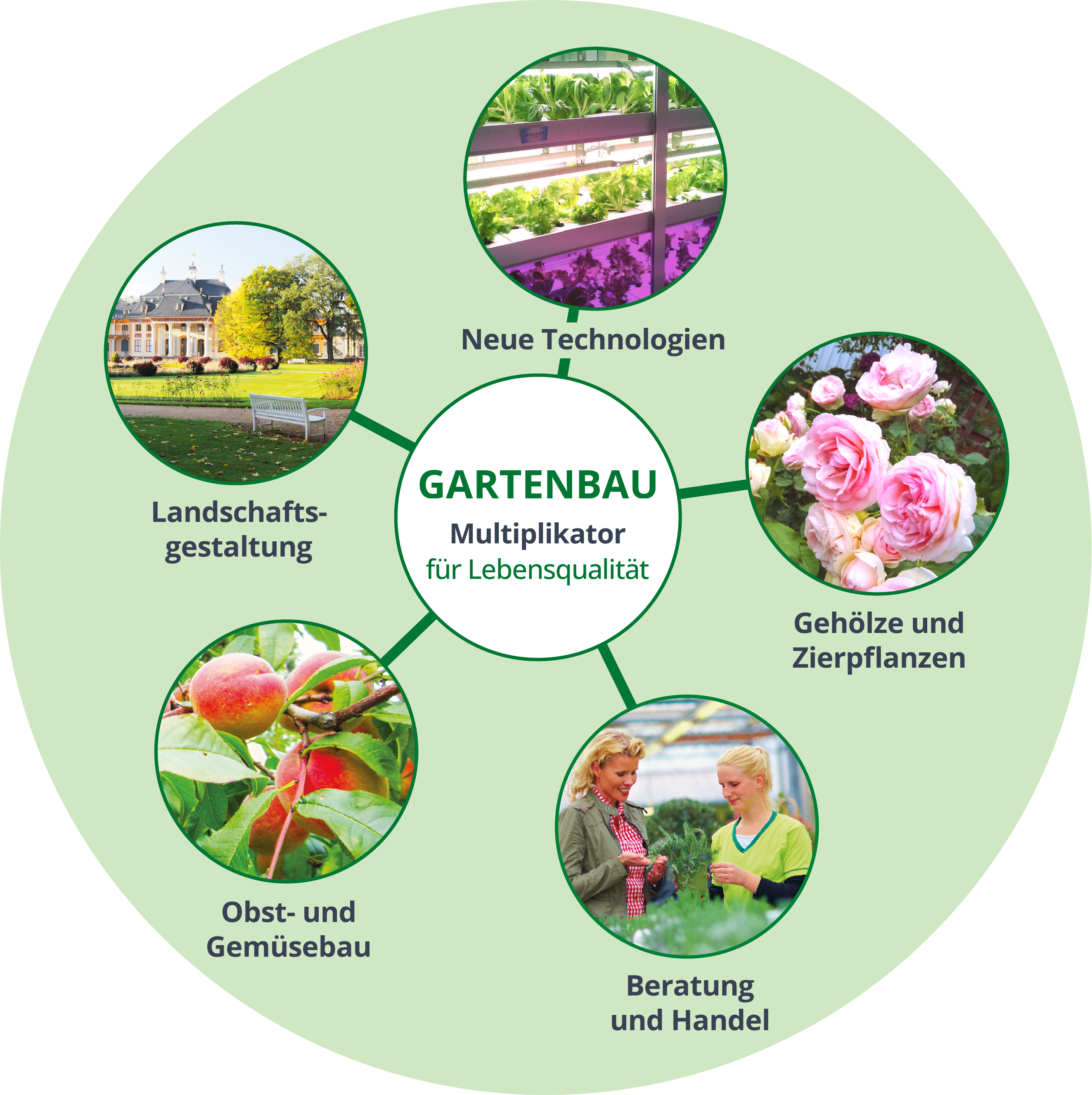Gartenbau - Multiplikator für Lebensqualität: Obst- und Gemüsebau - Gehölze und Zierpflanzen - Landschaftsgestaltung - Beratung und Handel - Neue Technologien