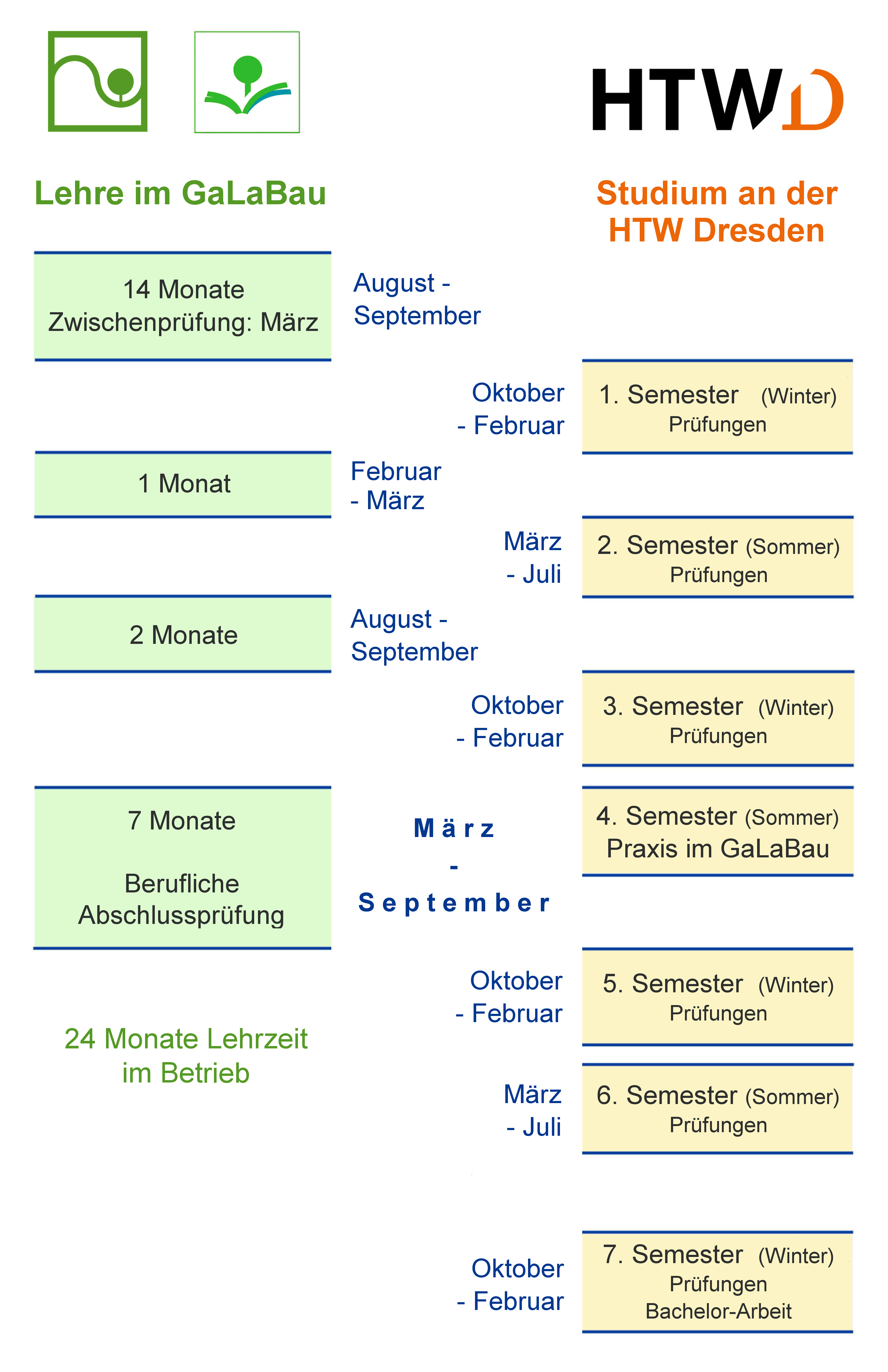 August bis September: 14 Monate Lehre im GaLaBau, Zwischenprüfung im März. Oktober bis Februar: 1. Semester an der HTW Dresden mit Prüfungen (Winter). Februar bis März: 1 Monat Lehre im GaLaBau. März bis Juli: 2. Semester an der HTW Dresden mit Prüfungen (Sommer). August bis September: 2 Monate Lehre im GaLaBau. Oktober bis Februar: 3. Semester an der HTW Dresden mit Prüfungen (Winter). März bis September: 4. Semester mit Praxis im GaLaBau - 7 Monate Lehre mit beruflicher Abschlussprüfung. Oktober bis Februar: 5. Semester an der HTW Dresden mit Prüfungen (Winter). März bis Juli: 6. Semester an der HTW Dresden mit Prüfungen (Sommer). Oktober bis Februar: 7. Semester an der HTW Dresden mit Prüfungen und Bachelor-Arbeit (Winter). Insgesamt 24 Monate Lehrzeit im Betrieb und 7 Semester Hochschulstudium.