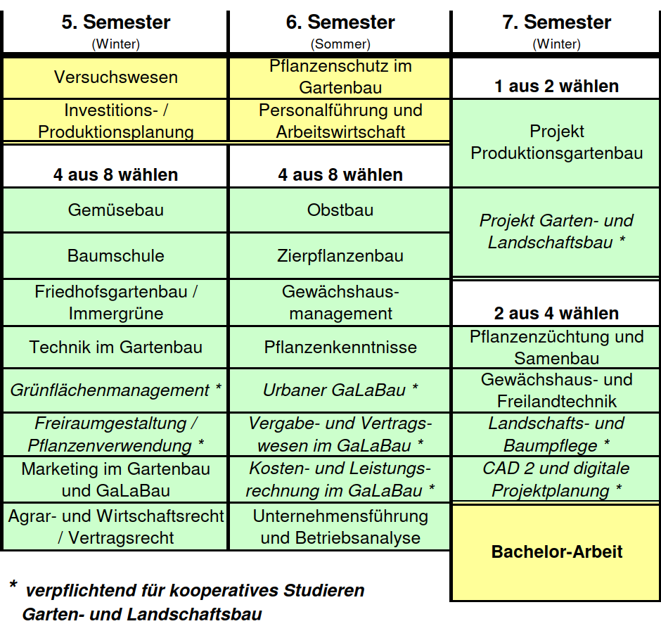 5. Semester: Versuchswesen, Investitions-/Produktionsplanung - Wahlpflichtmodule (4 aus 8 wählen): Gemüsebau, Baumschule, Friedhofsgartenbau/Immergrüne, Technik im Gartenbau, Freiraumgestaltung/Pflanzenverwendung, Grünflächenmanagement, Marketing im Gartenbau und GaLaBau, Agrar- und Wirtschaftsrecht/Vertragsrecht. 6. Semester: Pflanzenschutz im Gartenbau, Personalführung und Arbeitswirtschaft - Wahlpflichtmodule (4 aus 8 wählen): Obstbau, Zierpflanzenbau, Gewächshausmanagement, Pflanzenkenntnisse, Urbaner GaLaBau, Vergabe- und Vertragswesen im GaLaBau, Kosten- und Leistungsrechnung im GaLaBau, Unternehmensführung/Betriebsanalyse. 7. Semester: Bachelorarbeit - Wahlpflichtmodule 1 (1 aus 2 wählen): Projekt Produktionsgartenbau, Projekt Garten- und Landschaftsbau - Wahlpflichtmodule 2 (2 aus 4 wählen): Pflanzenzüchtung und Samenbau, Gewächshaus- und Freilandtechnik, Landschafts- und Baumpflege, CAD 2 und digitale Projektplanung.