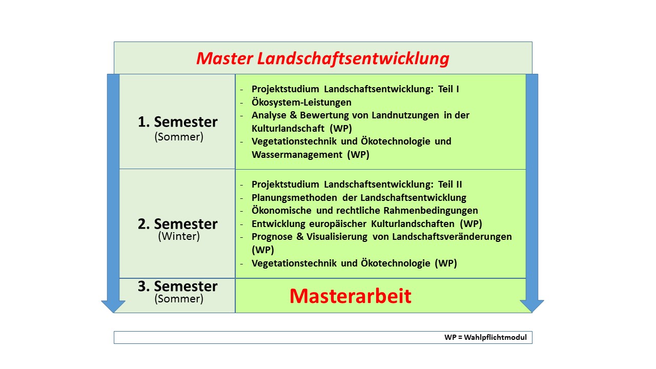 Module im Master LE