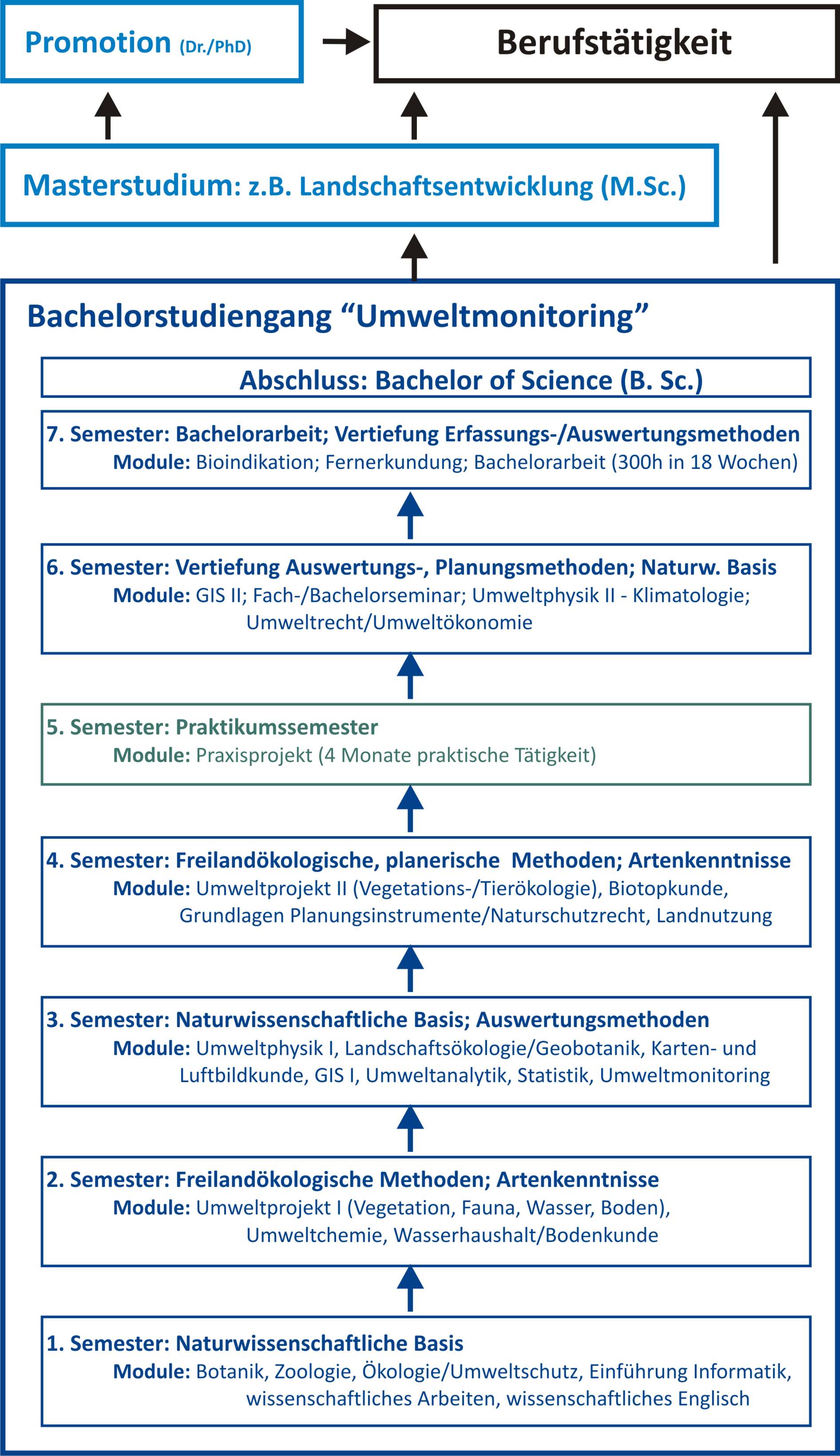 Struktur UM
