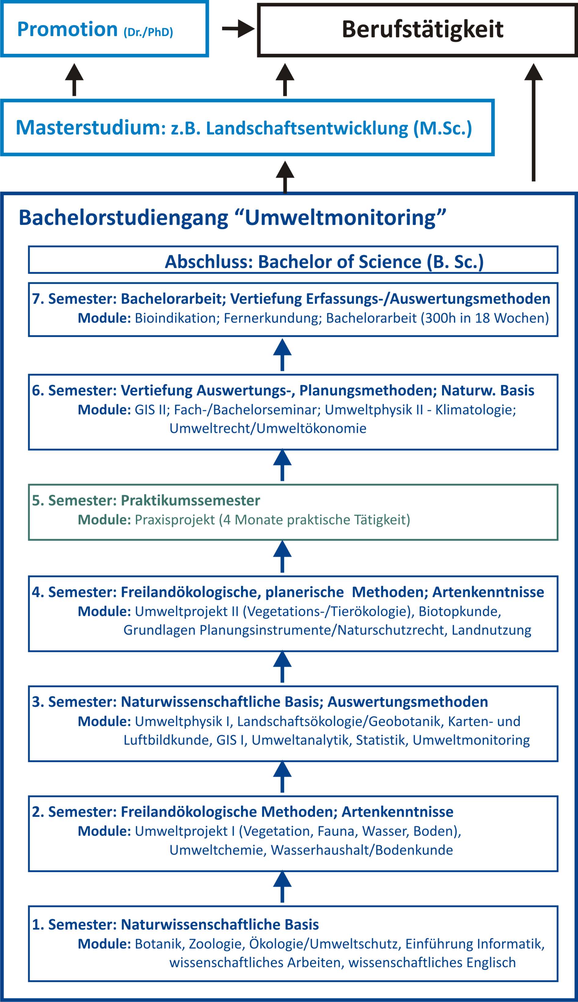 [Translate to English:] Struktur UM