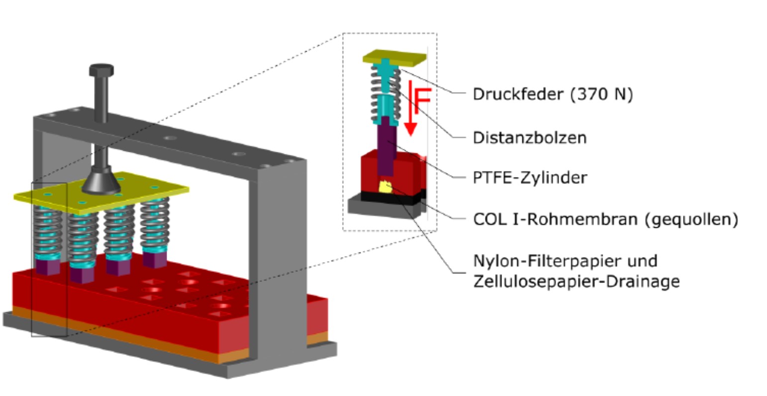 Gerätetypischer Druck-Umform-Prozess zur Mikrostrukturierung von Collagen
