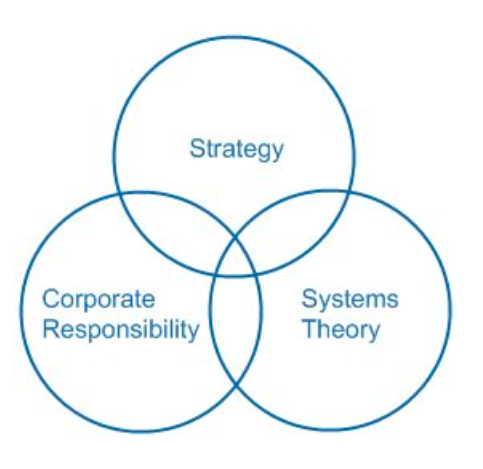 Research, Systems Theory and Corporate Responsibility