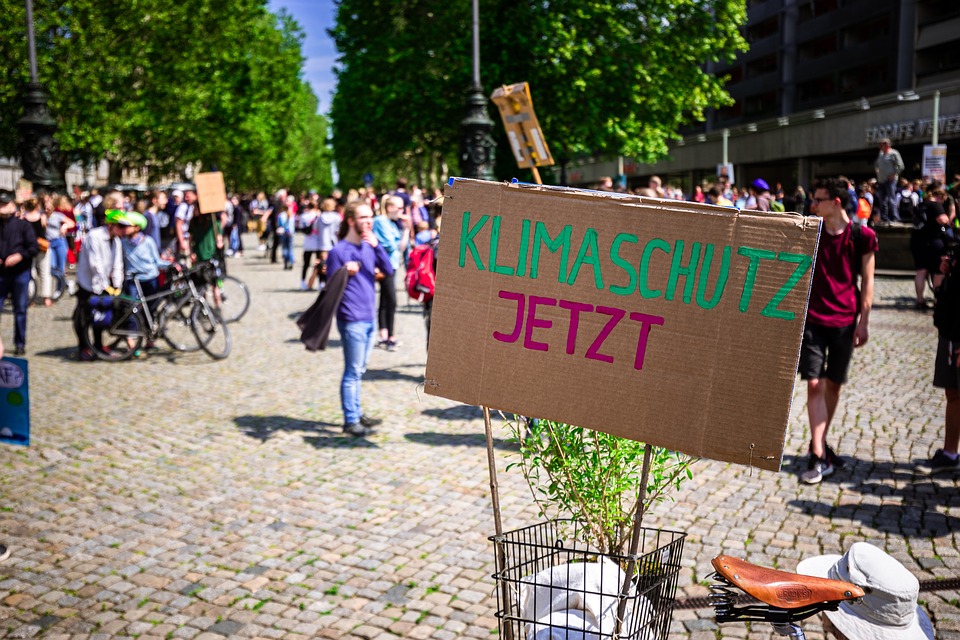 Blick in einen Garten mit einem Holzbanner auf dem Klimaschutz steht