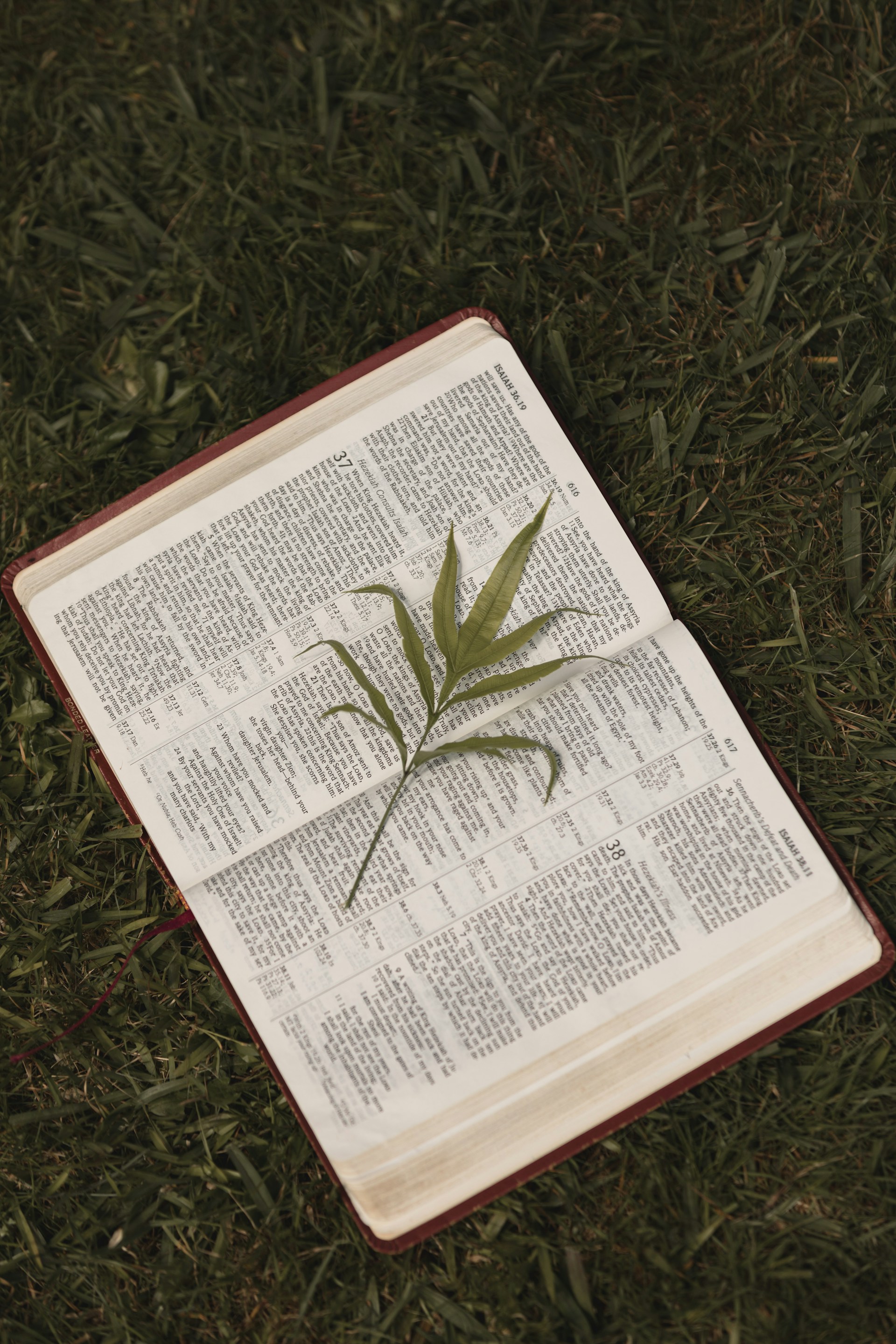 Green Book Corner