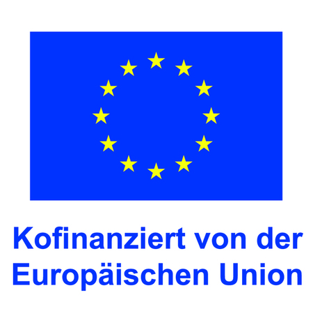 Flagge europäische Union mit Text