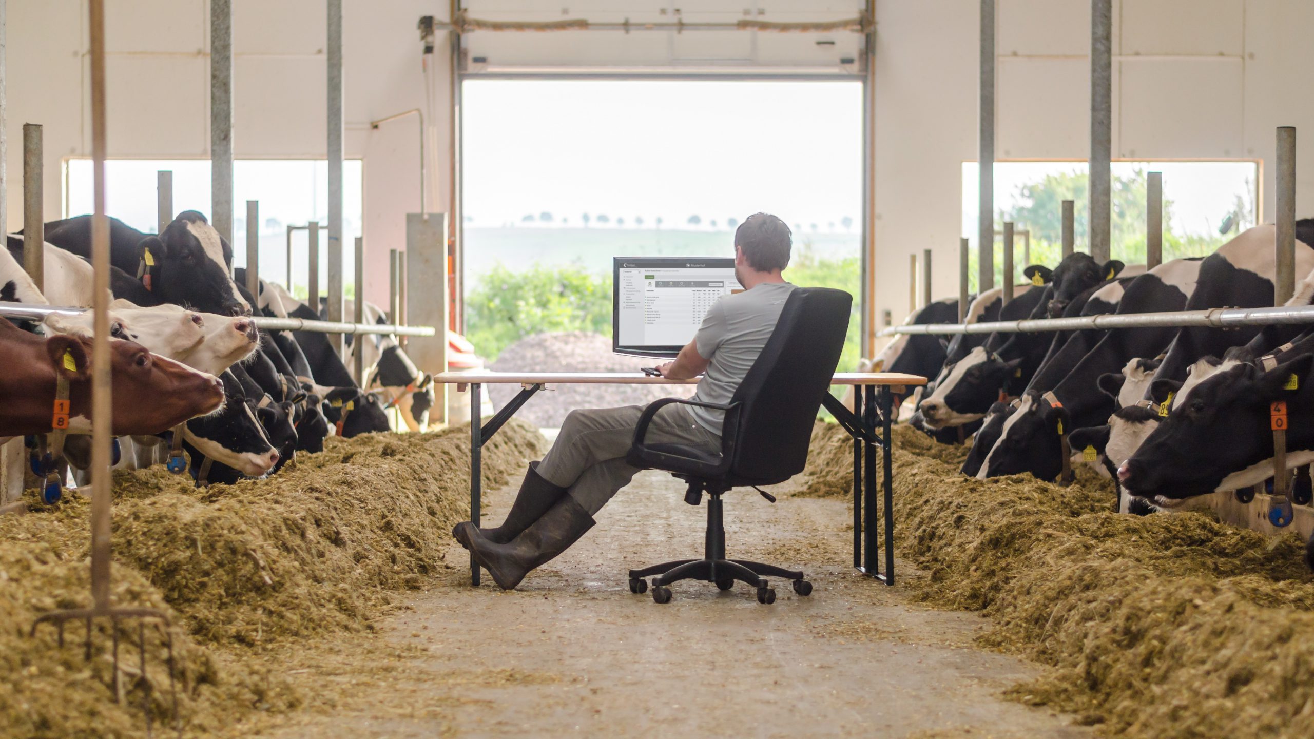 The founding team will offer a new generation of feeding software with an internet-based software solution. This will significantly simplify the complex task of feed calculation for the user and thus make milk production more profitable and animal-friendly.
