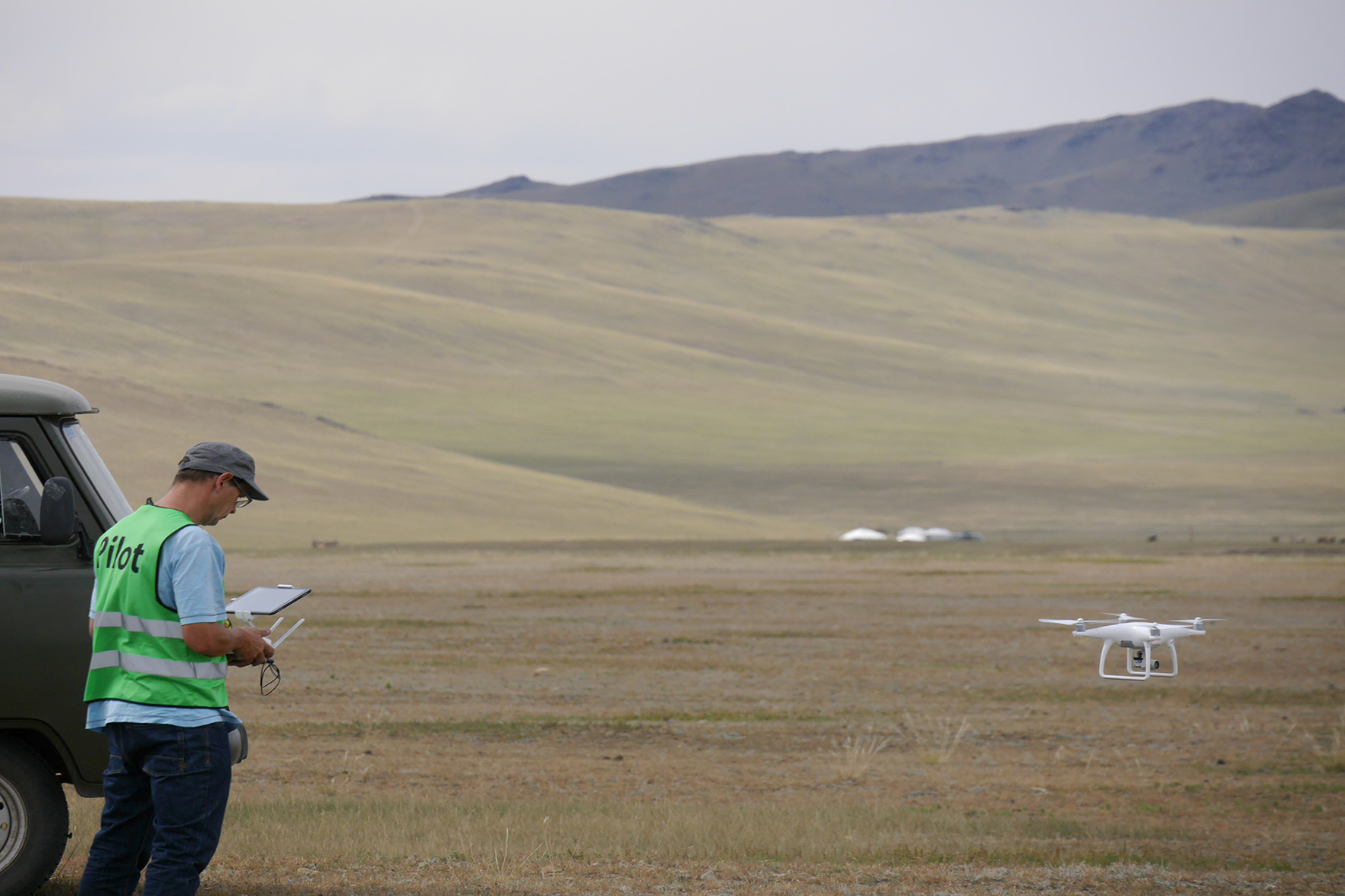 Archeocopter Mongolei