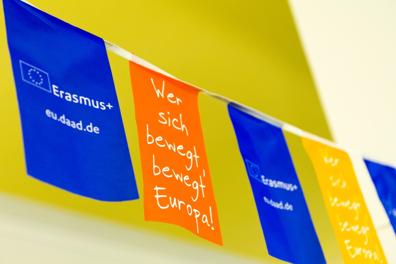Erasmus Flagge