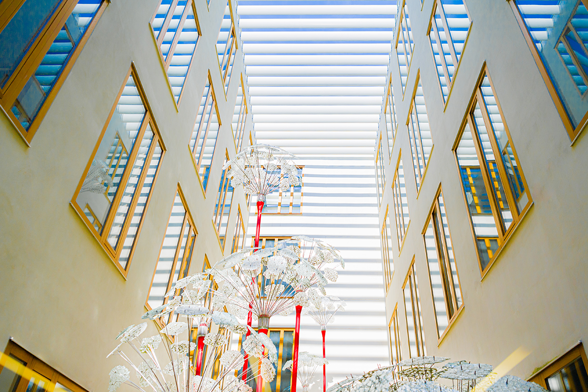 Bibliothek