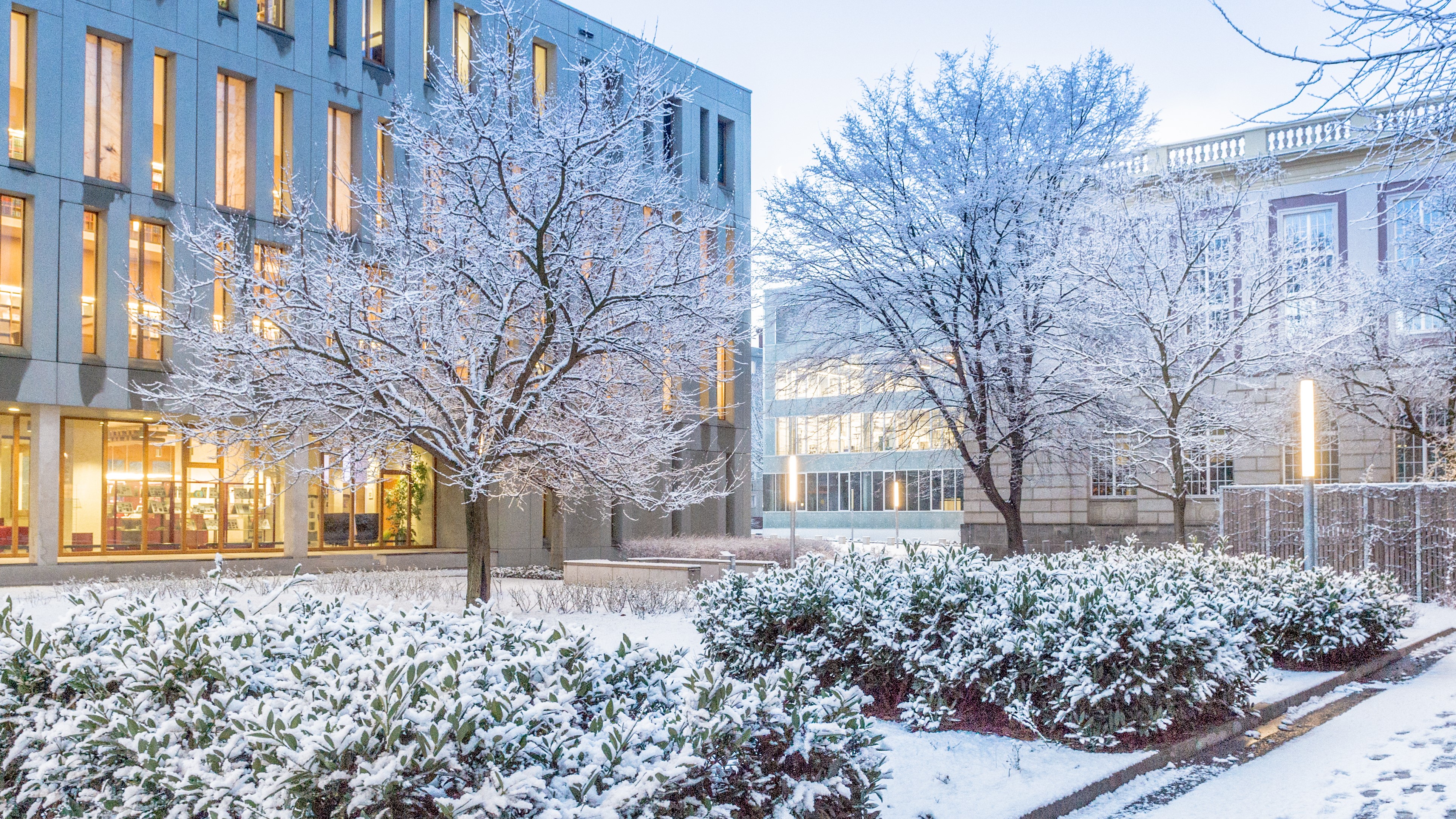 Winterstimmung Bibliothek