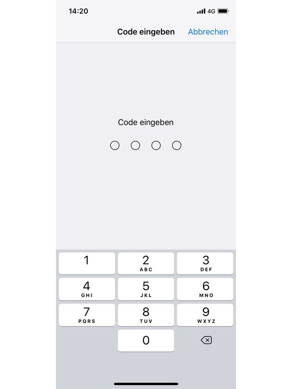 Screenshot Code eingeben