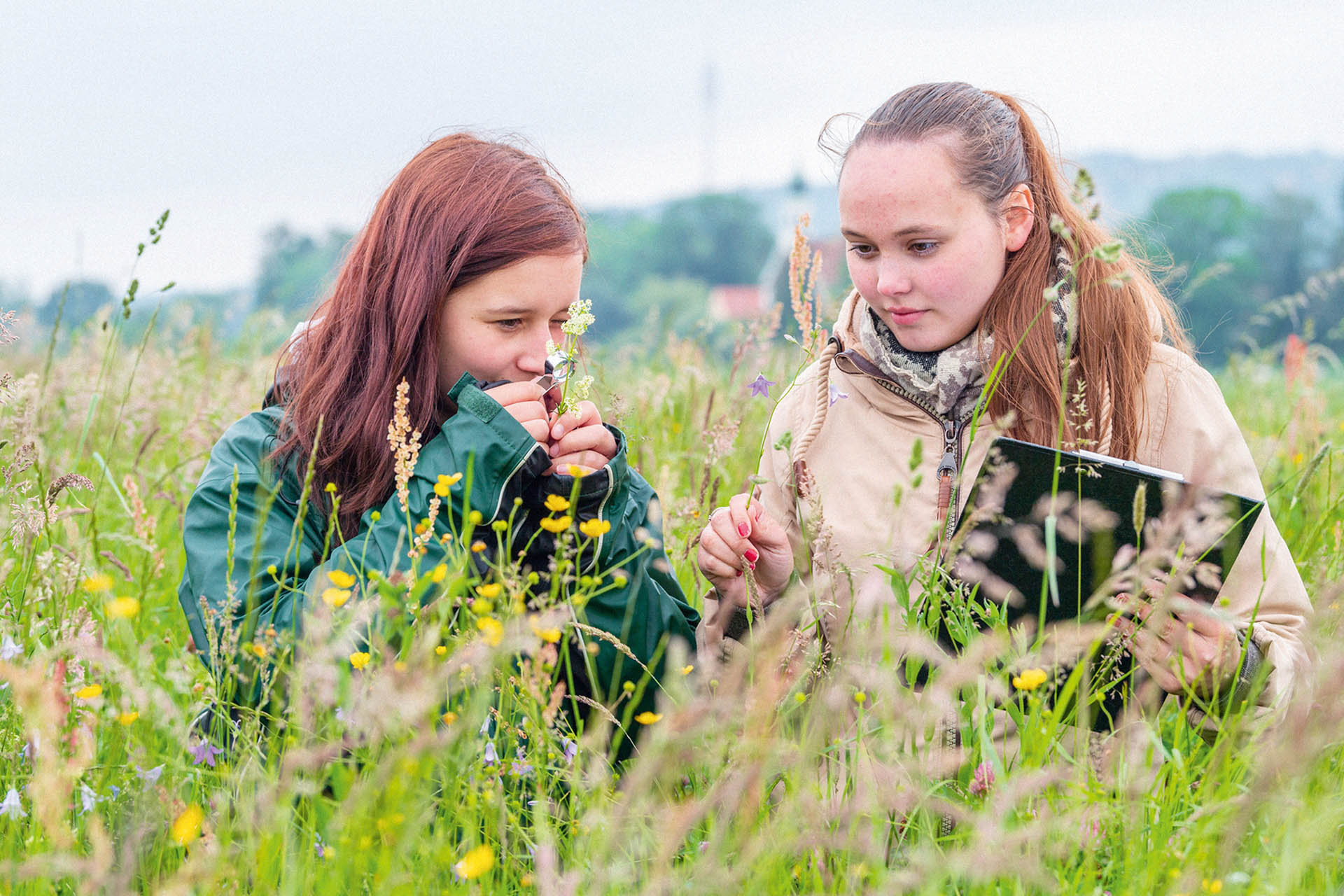 Studentinnen überprüfen den Boden durch Überwachung des Wildbewuchses