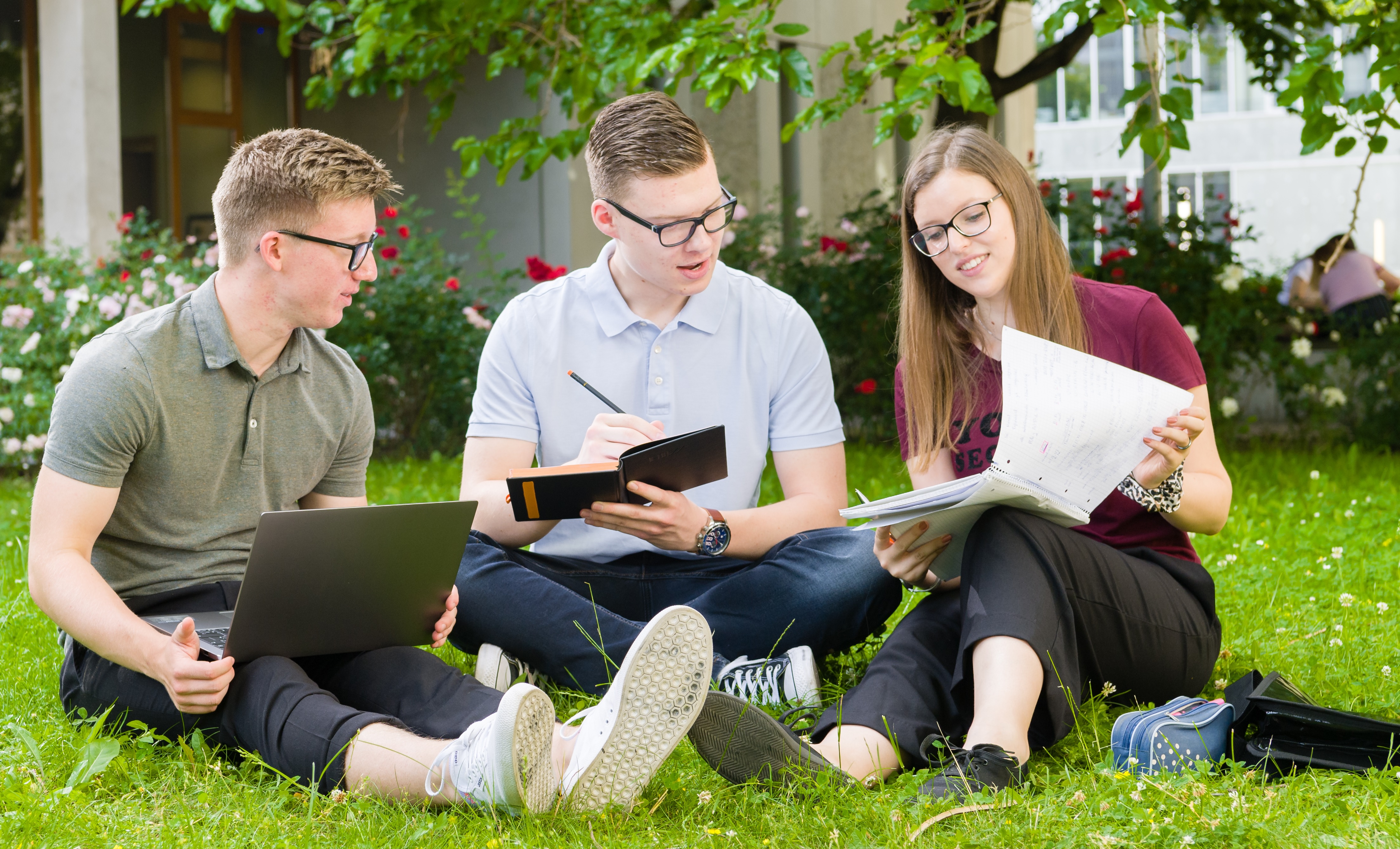 Studierende im Rosengarten Gruppe Studierende sitzt auf der Wiese