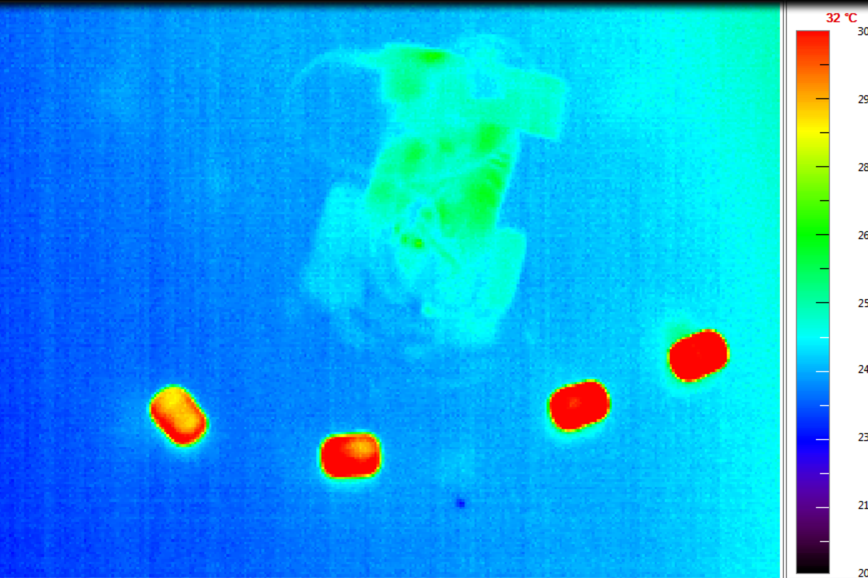 Wärmebildaufnahme der Probenobjekte (rot) sowie des Roboters (hellgrün) während des Tests