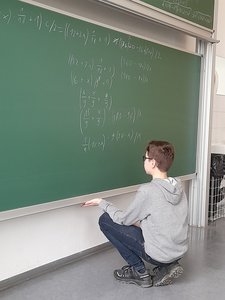 Optimierung eines Gartengrundstücks