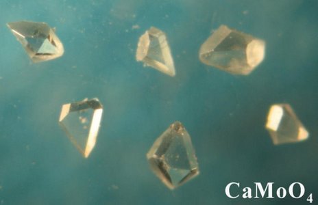Kristalle von Calciummolybdat