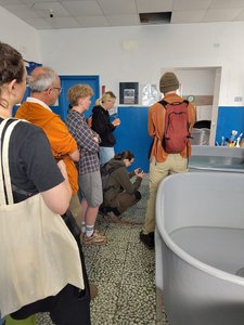 Menschen, die vor Aufzuchttanks für Seeschildkröten stehen.