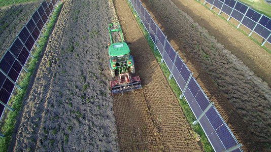 Agri-PV Anlage mit Bodenbearbeitung dazwischen