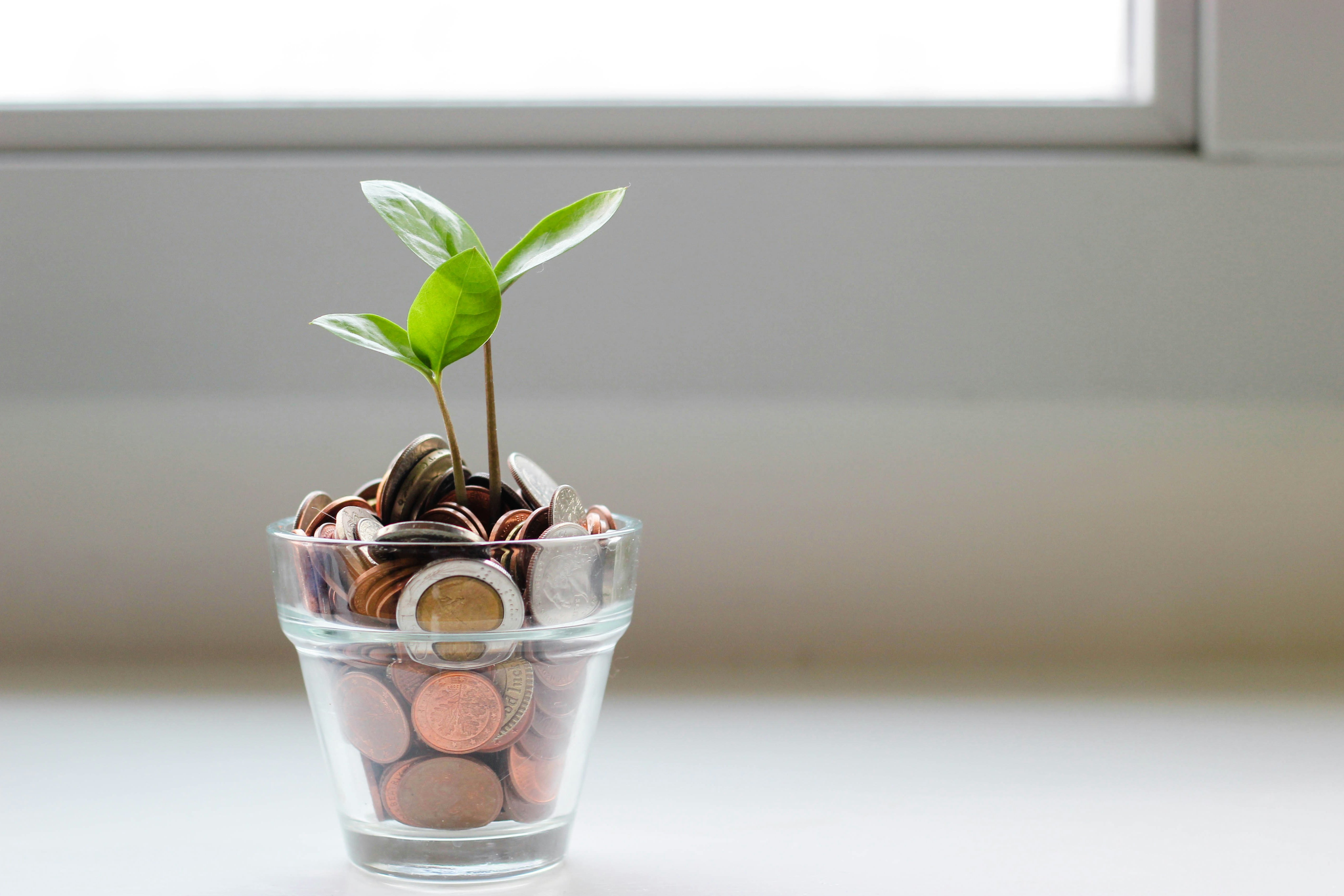 Geld
