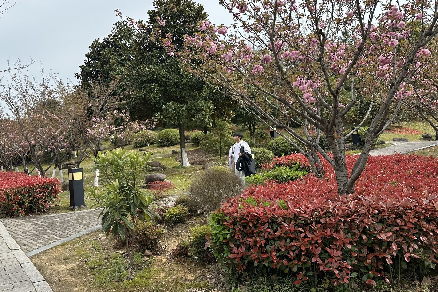 Studierende laufen über den Campus