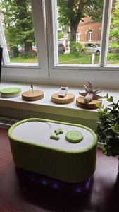 grüne ovale Assistenzbox auf einem Tisch vor dem Fenster