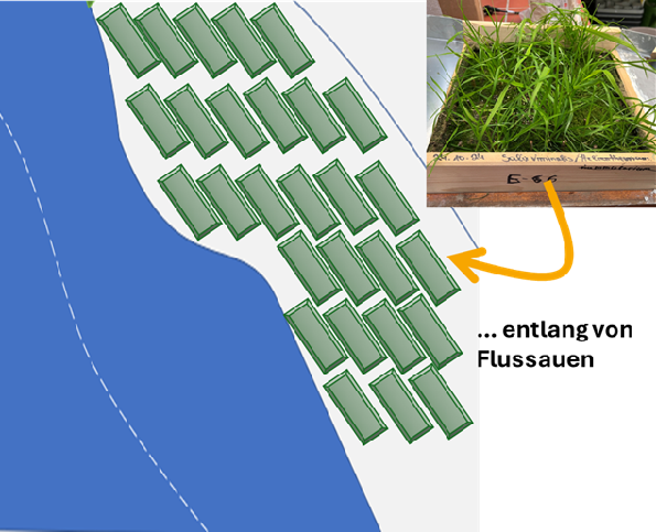 Unsere Lösung: Das Retentionsmodul entlang von Flussauen platzieren