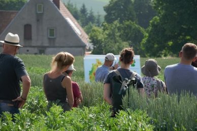 Feldtag 2019