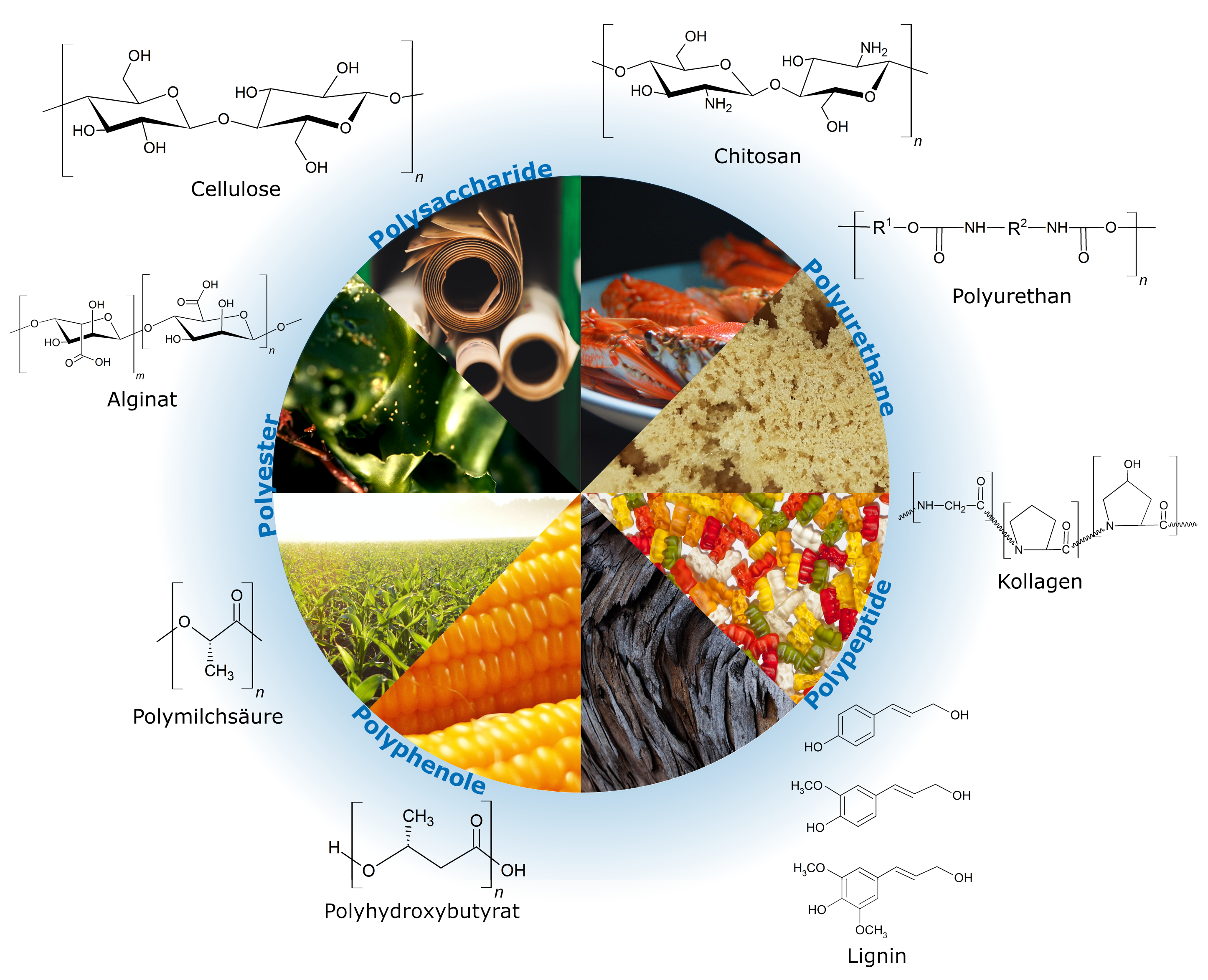 BiopolymereUebersicht