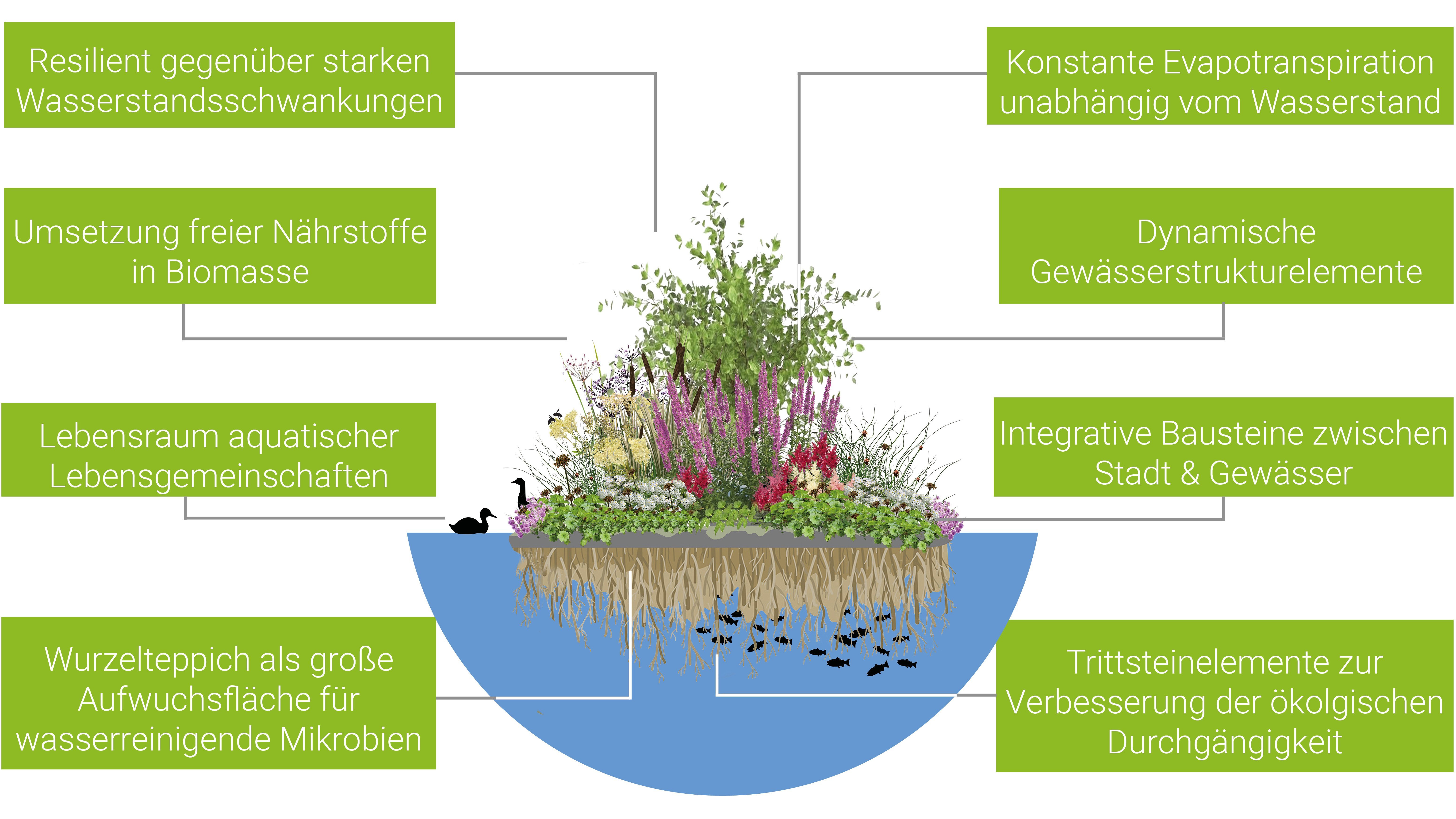 Vorteile Schwimminseln