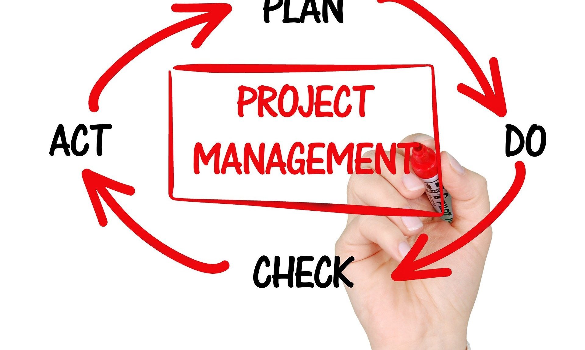 Foto Webinar Projektmanagement