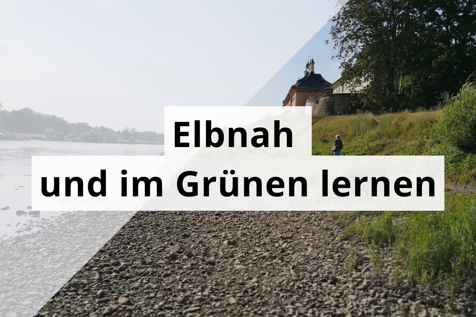 Blick über die Elbe zum Wasserschloss Pillnitz
